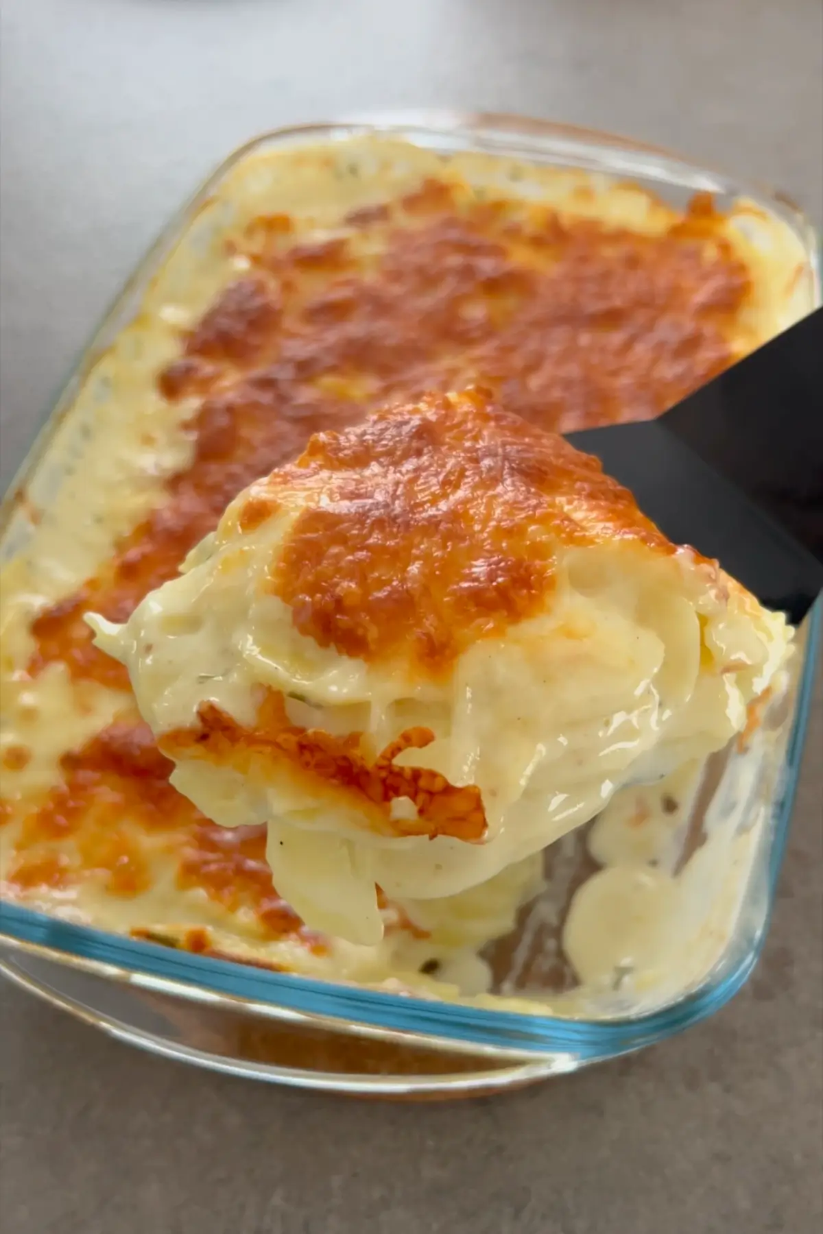 kartoffelgratin