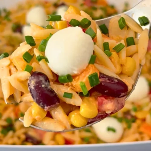 Orzo Nudelsalat Nahaufnahme auf Löffel mit Mozzarella, Kidneybohnen und Schnittlauch